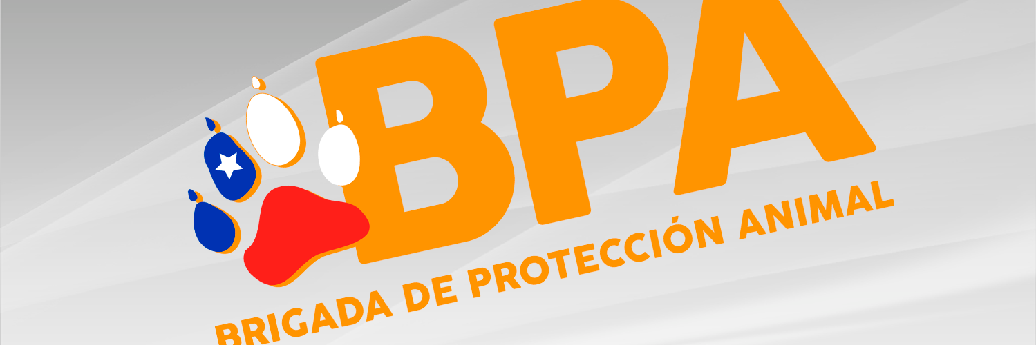 RT SOS ANIMAL BPA banner
