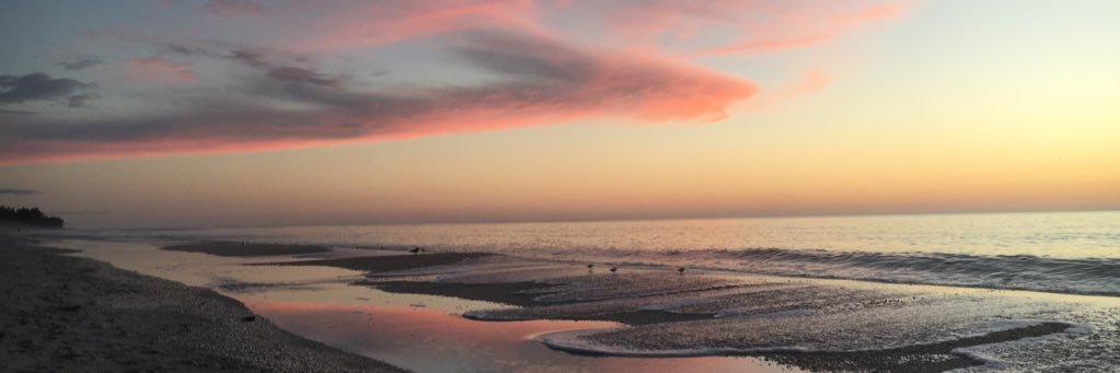 JosieFowler6's profile banner image