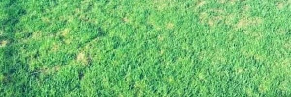 torettoadra's profile banner image