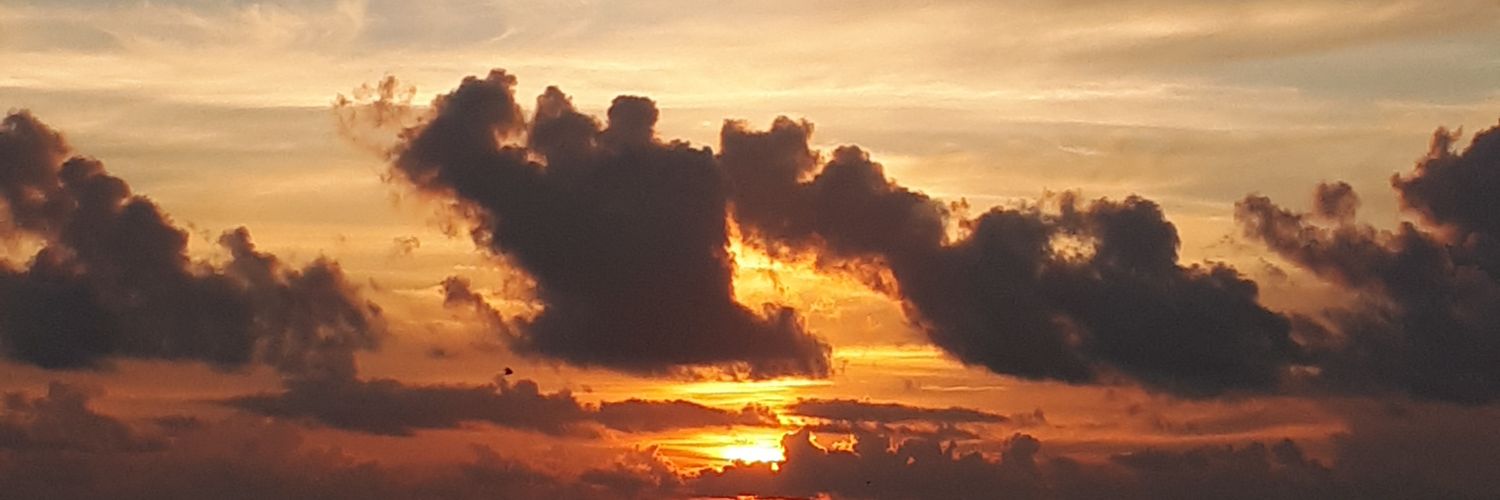 aradcalza's profile banner image