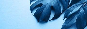 RICARDONAJAR's profile banner image
