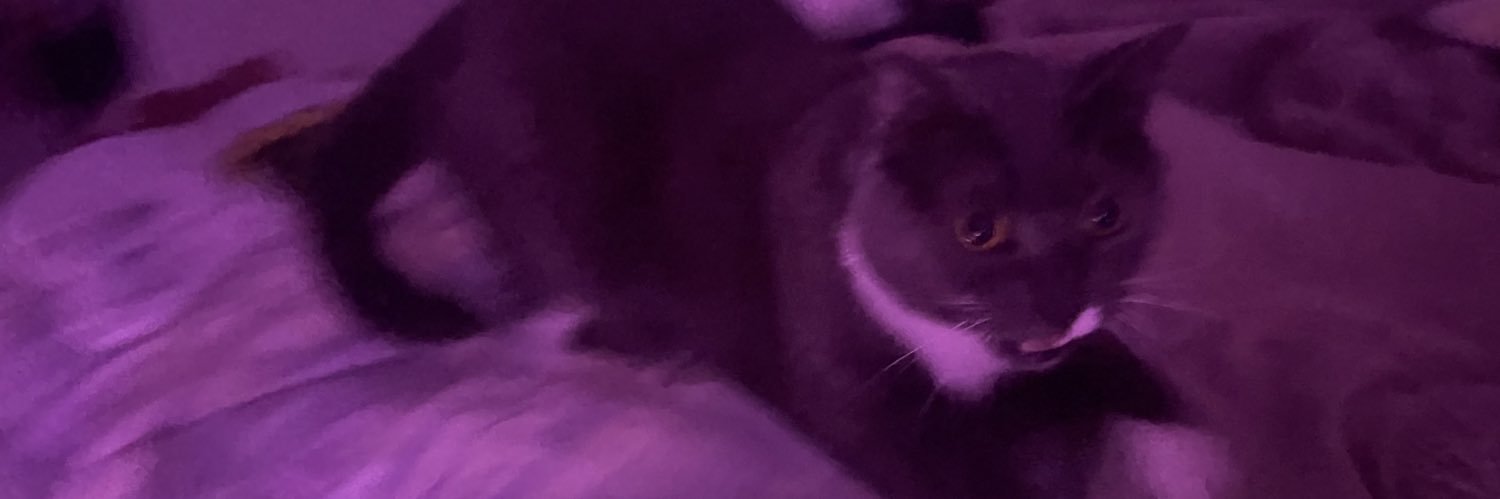 wrecklesss_'s profile banner image