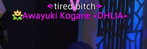 SUIKODEN 2 ANIME AAAAAAAA banner