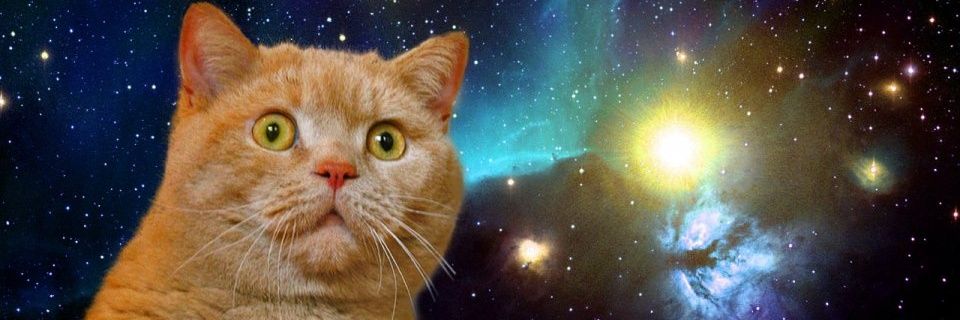 ザコ麺タル深海さん banner