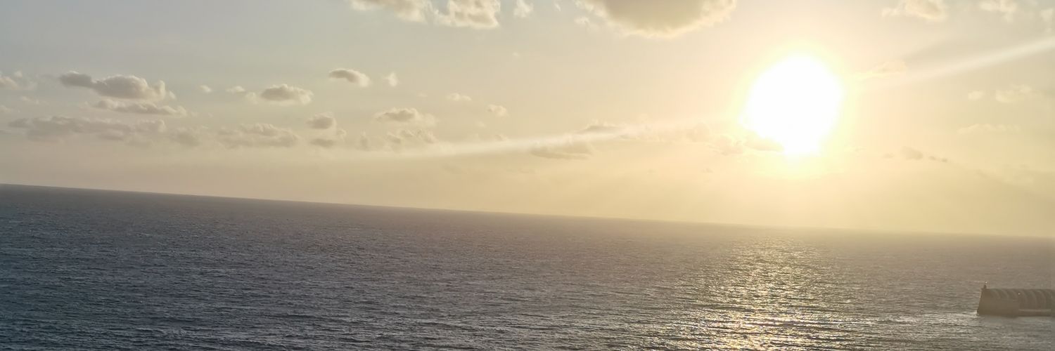 AmitaGonzalez's profile banner image