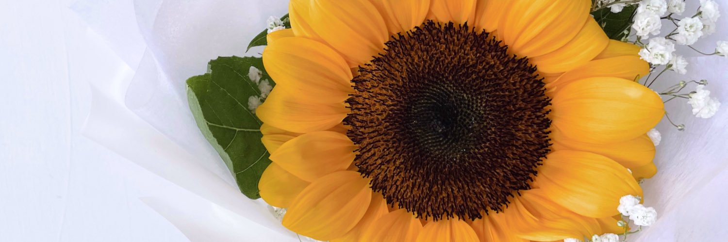 shandyria's profile banner image