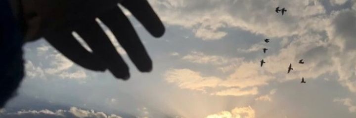 merykm3's profile banner image