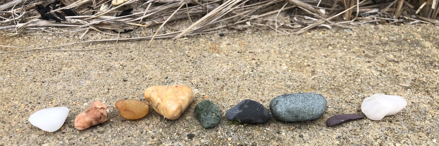 @serenitycarr.bsky.social banner