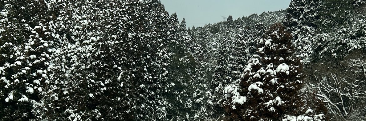 unkoman_p's profile banner image