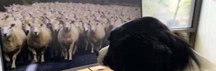 that_matt's profile banner image