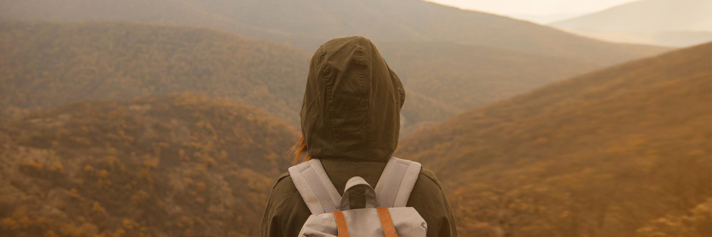 gowhiskr's profile banner image