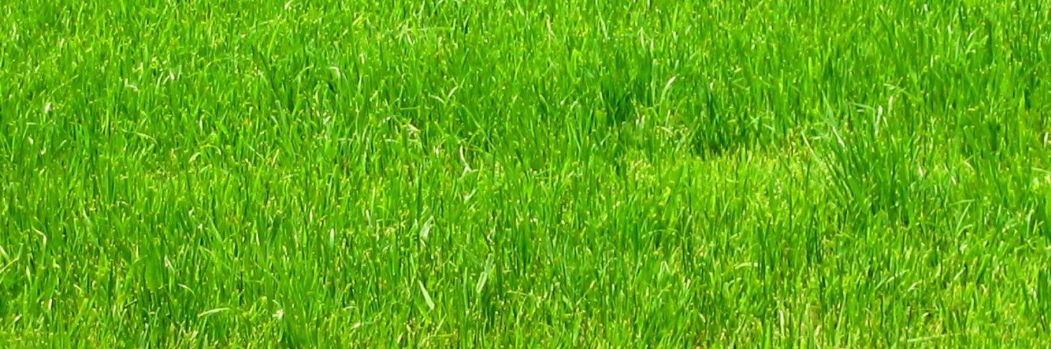 壬 banner