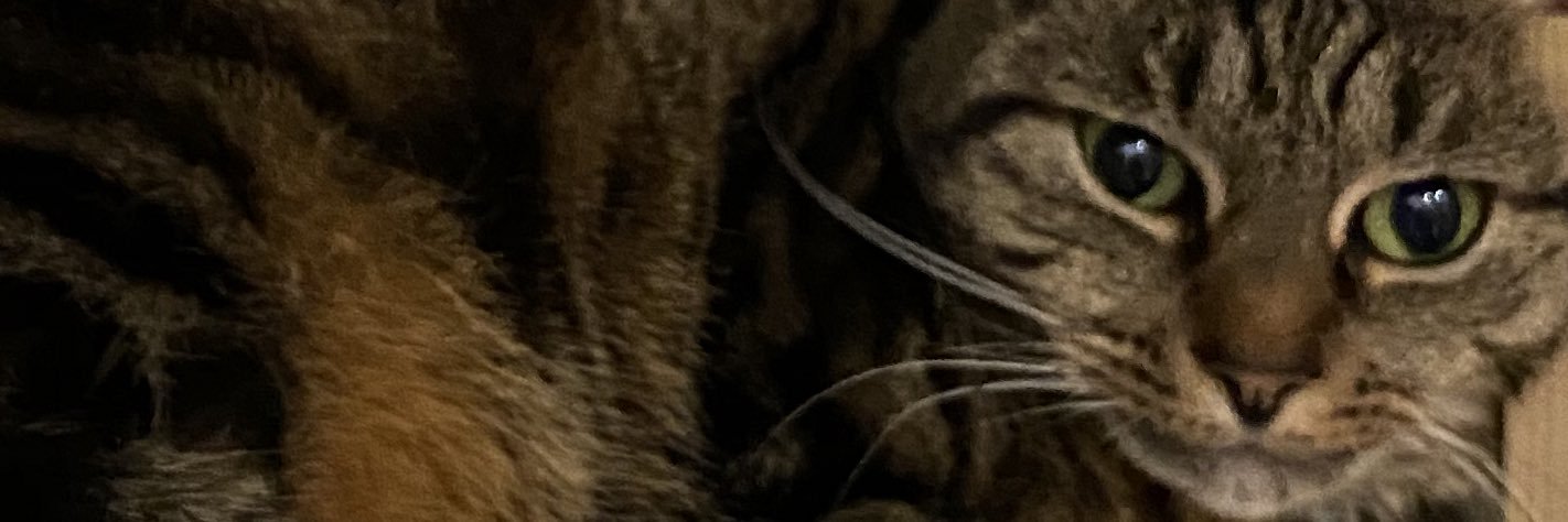 Menna S Pri0r-Smith banner