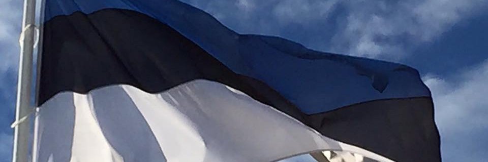 Hanno Pevkur banner