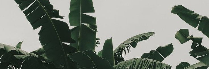 rochw_'s profile banner image