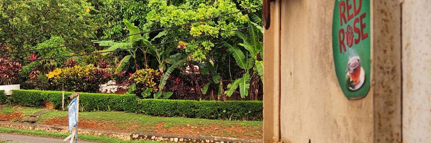damaaa____'s profile banner image