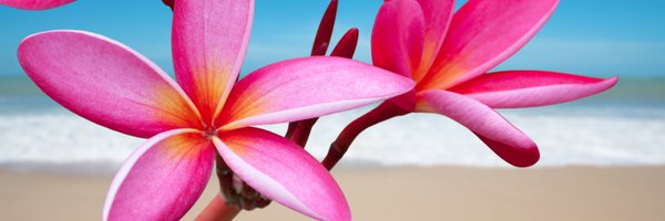 erinfraser312 Profile Banner