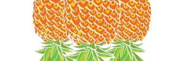Bichos 🤤 banner