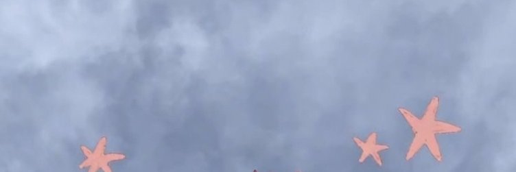 Alejandra banner