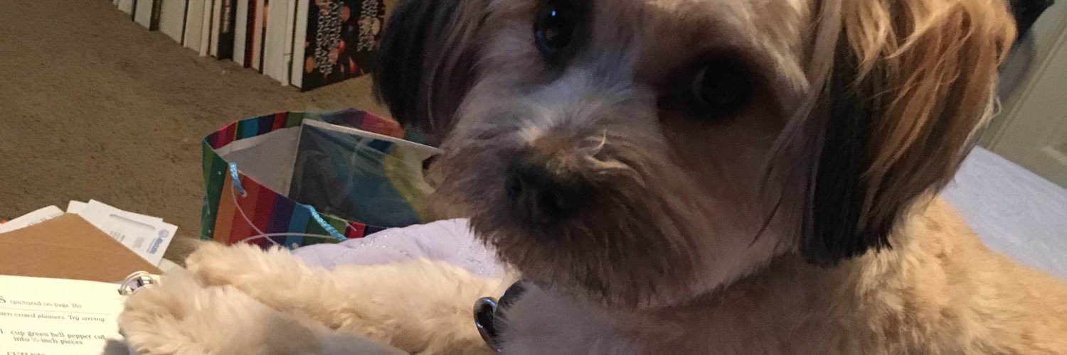 Laura David, MEd, MLS banner