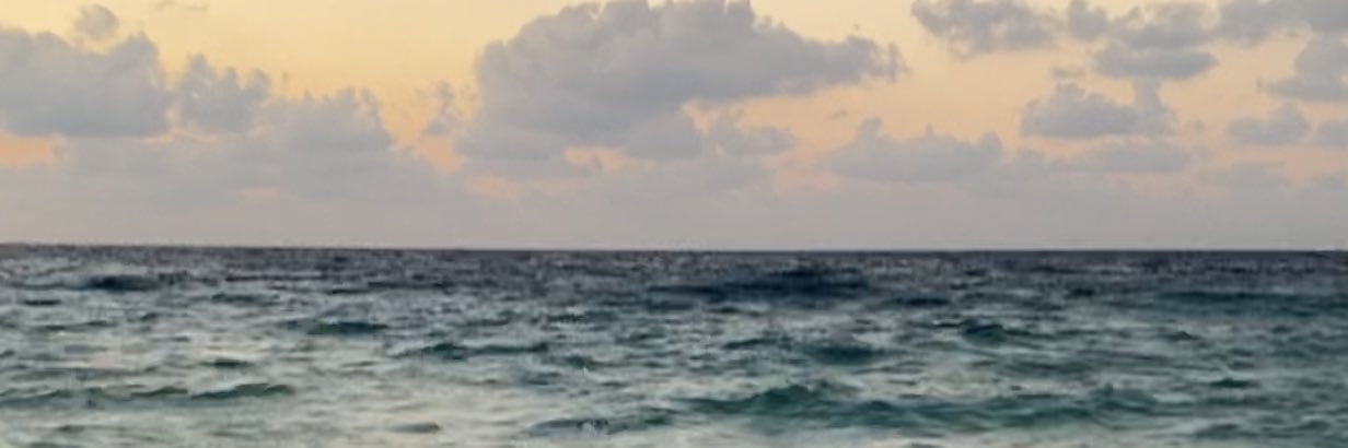 alaa_mkady's profile banner image
