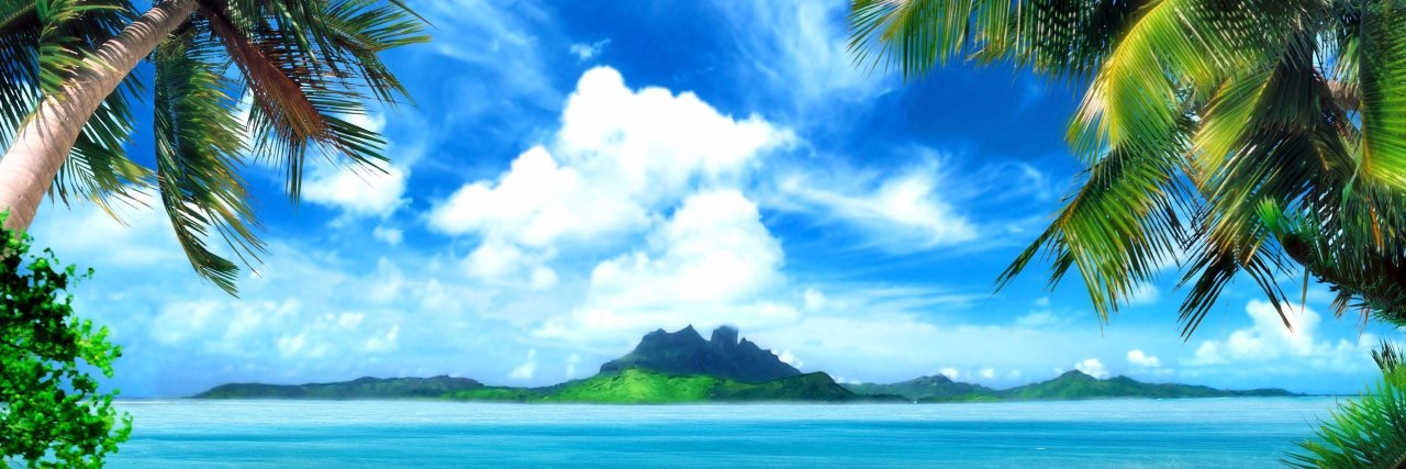 penguinskyMUSIC's profile banner image
