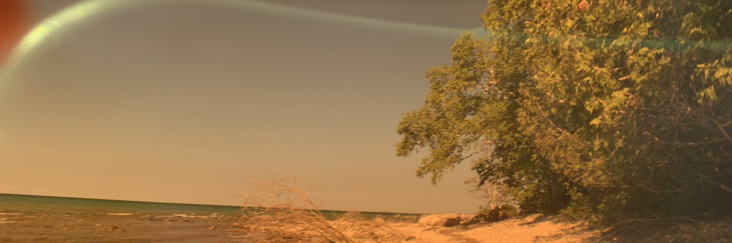 piper_guest's profile banner image