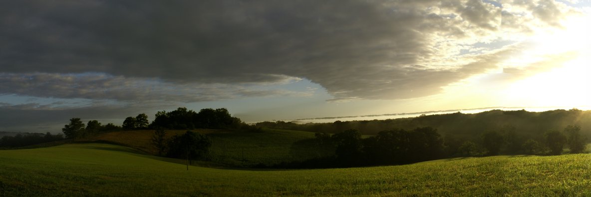 Alexandre Chemla banner