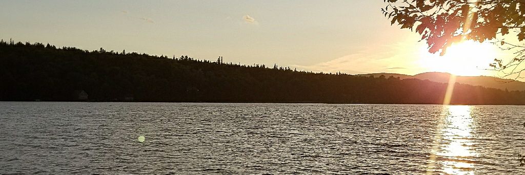 SusanGrivno's profile banner image