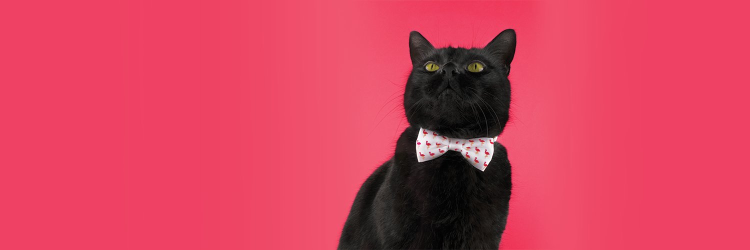 kattandhound's profile banner image