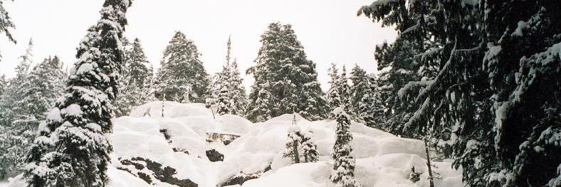 headtrollster's profile banner image