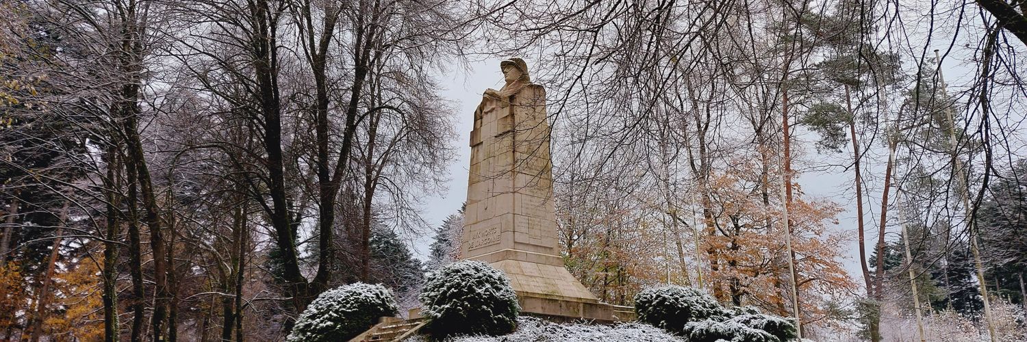 Annelies Visser banner