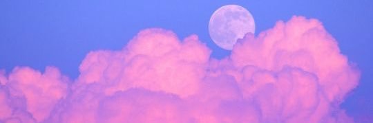 damaaris_'s profile banner image