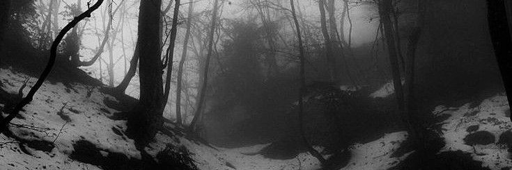 a l i c e ☹ banner