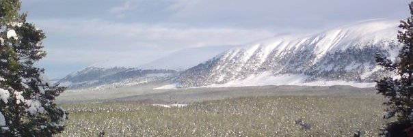 I0Th0usandF1sts banner