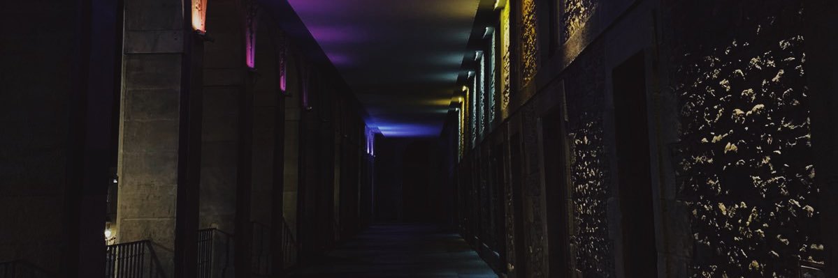 bjorn banner