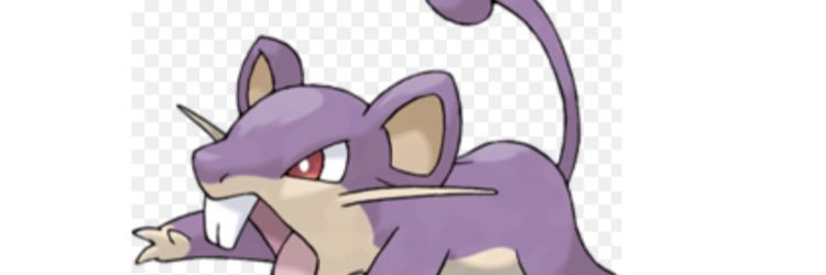 Rattata___'s profile banner image