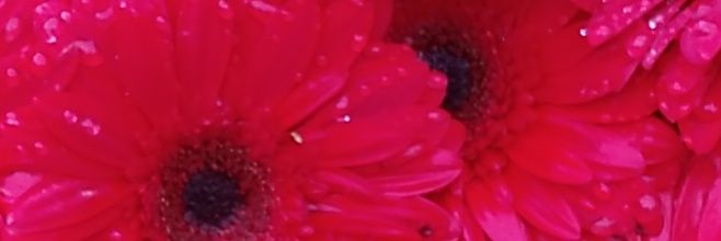 interventoraM's profile banner image