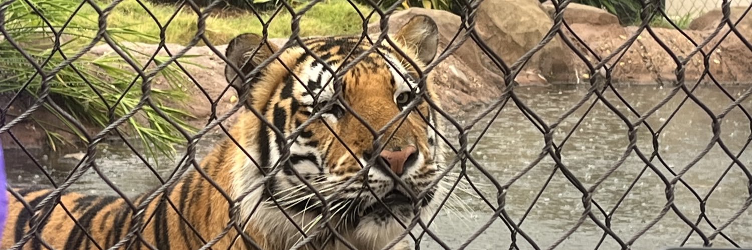 Jake McKeever banner