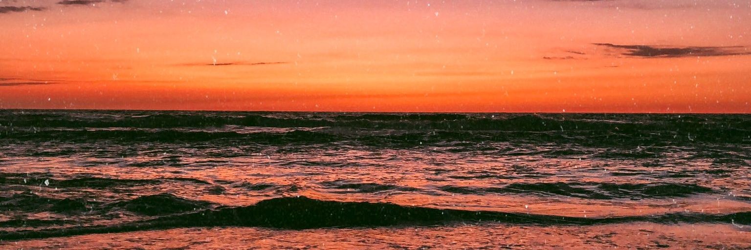 2015cami's profile banner image