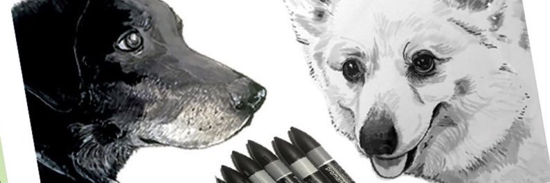 NickGribbon's profile banner image