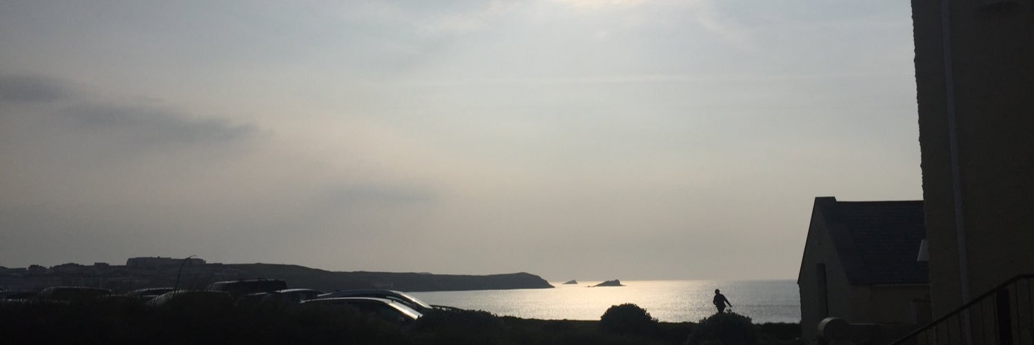 Mary-Anne Cosgrove banner