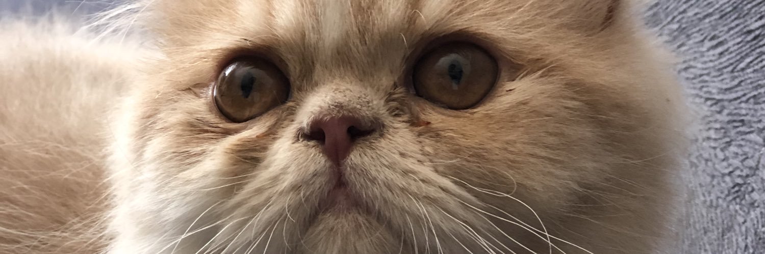 JonPinto_'s profile banner image