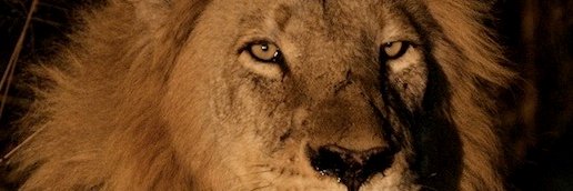 Chris Jackson banner