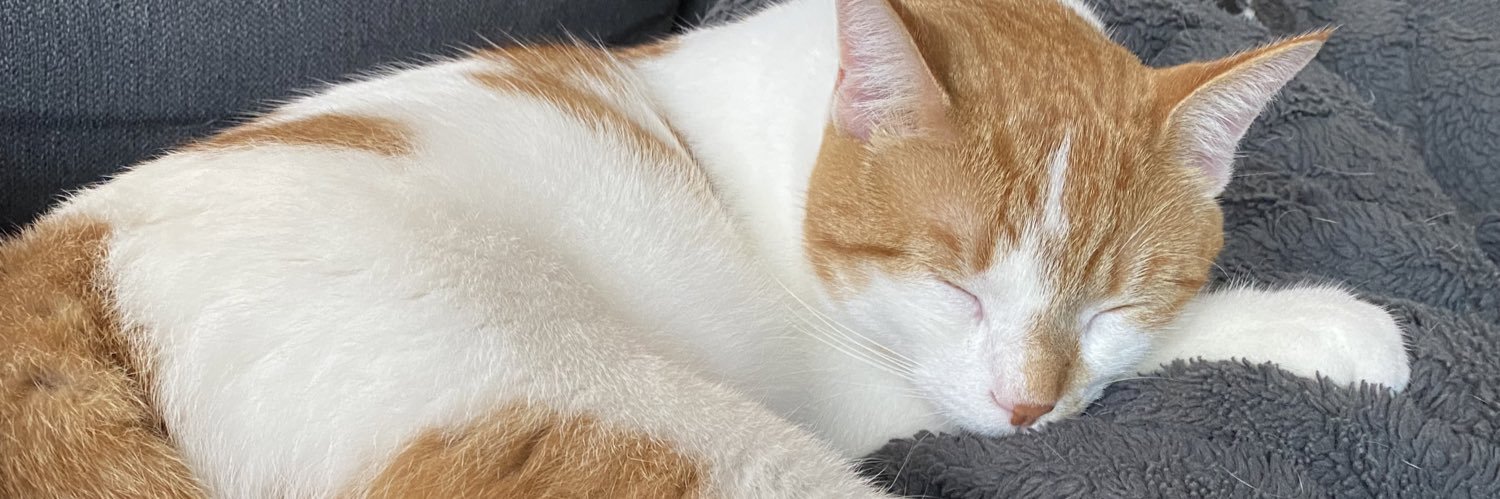 SolinaAsterisk's profile banner image