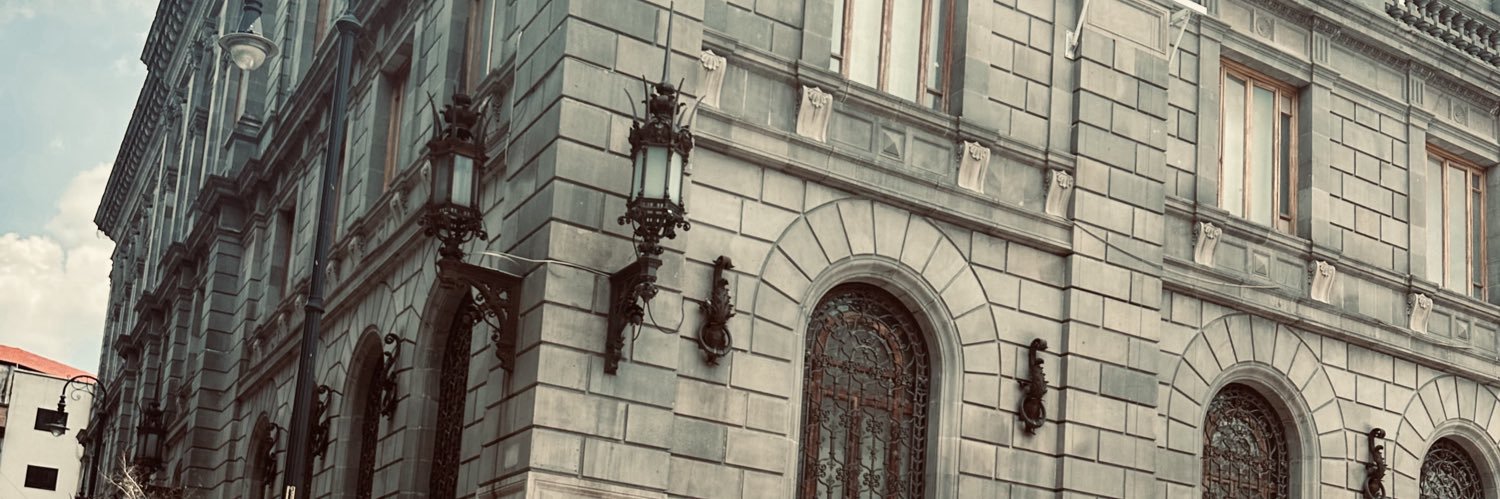 soytanuli's profile banner image