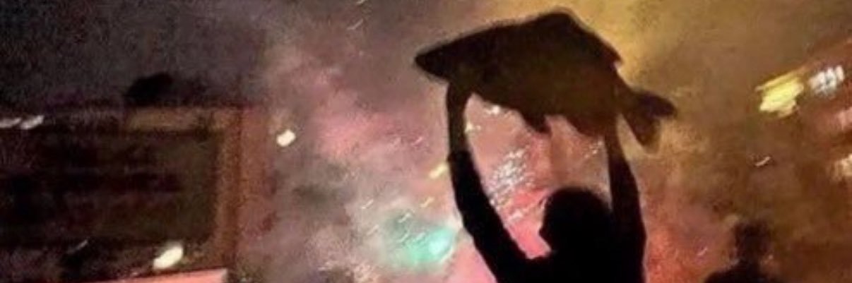 newdoves's profile banner image