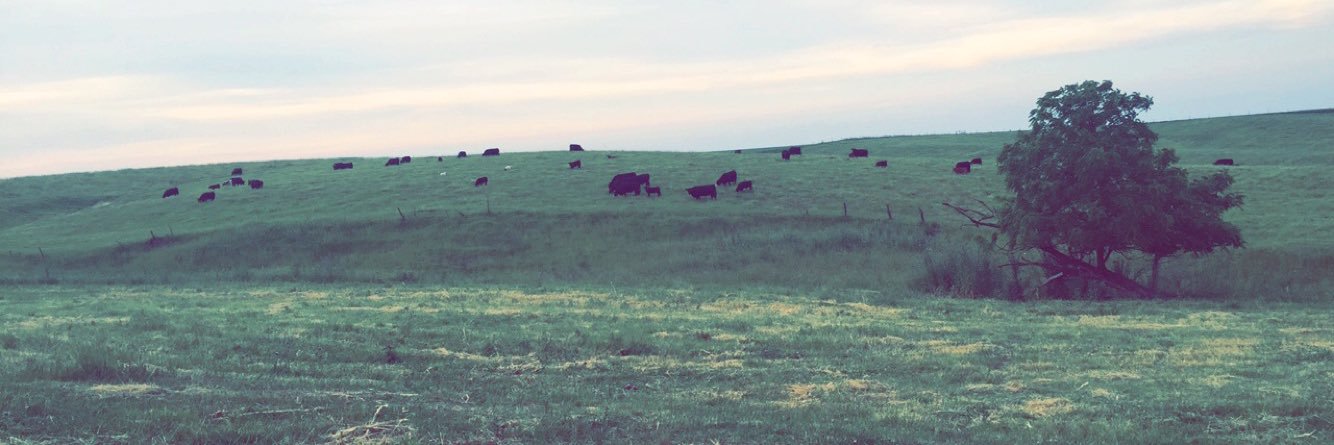 AJCattle's profile banner image