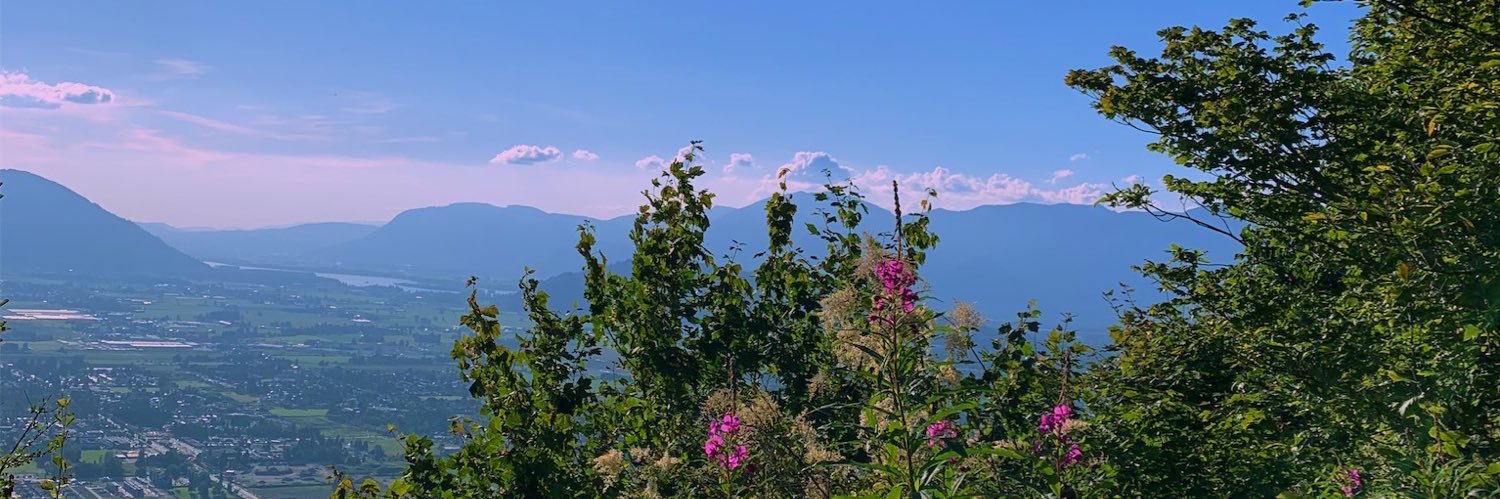 ayekailee's profile banner image