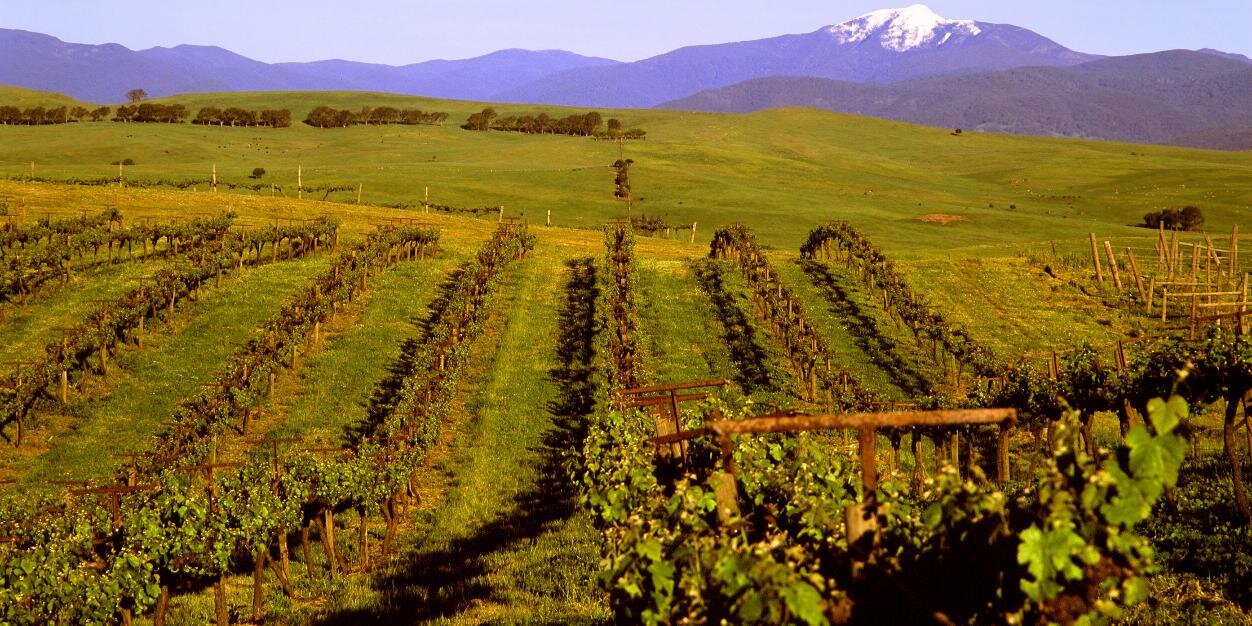DelatiteWines's profile banner image